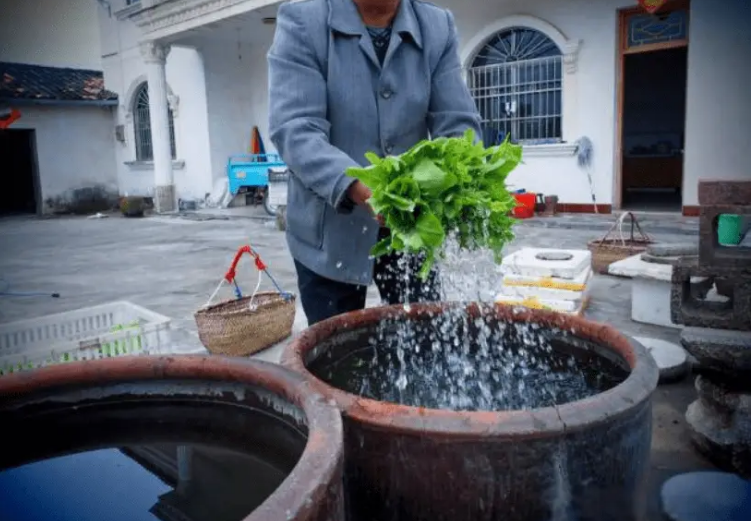 Thông tin chi tiết về gia đình ông Trịnh